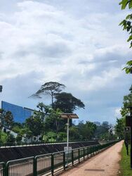 Mount Sinai Road (D10), Terrace #446686411